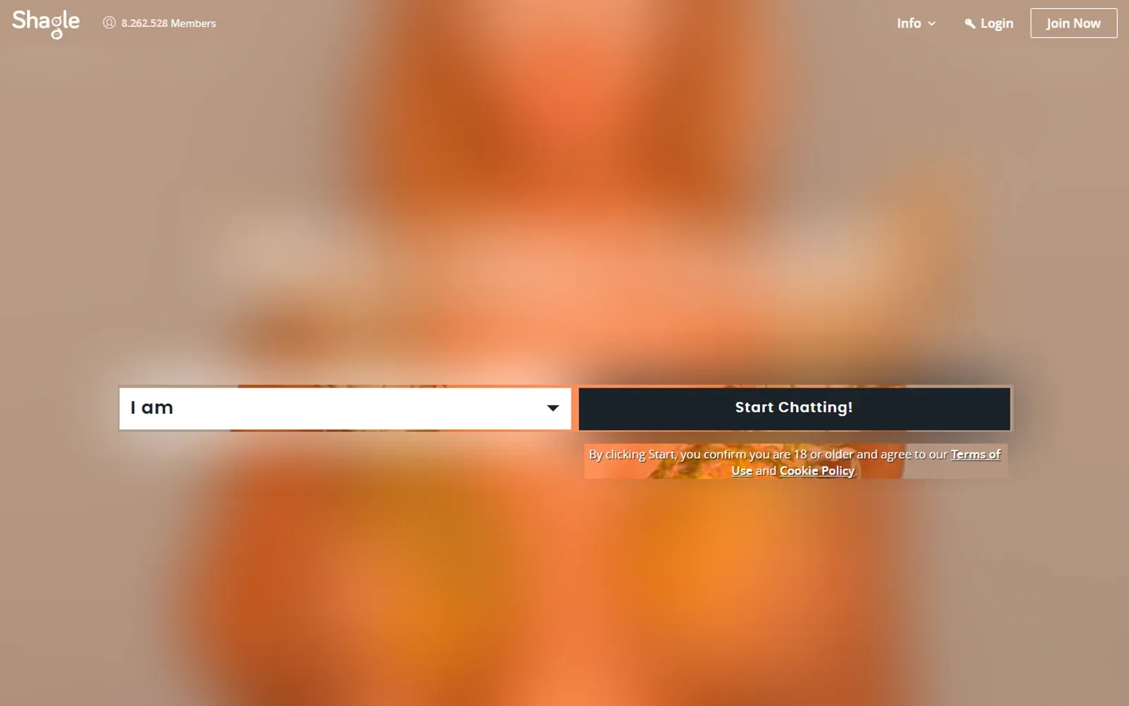 Startseite von Shagle mit Auswahlfeld für das eigene Geschlecht und dem Button „Start Chatting!“, Hintergrundbild unkenntlich gemacht